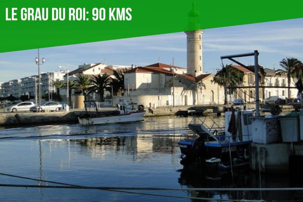 Ferienwohnung Pops Flat - Parking Prive Gratuit - Wi-Fi - Ac Clim Avignon Exterior foto